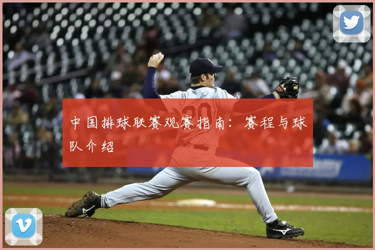 中国排球联赛观赛指南:赛程与球队介绍